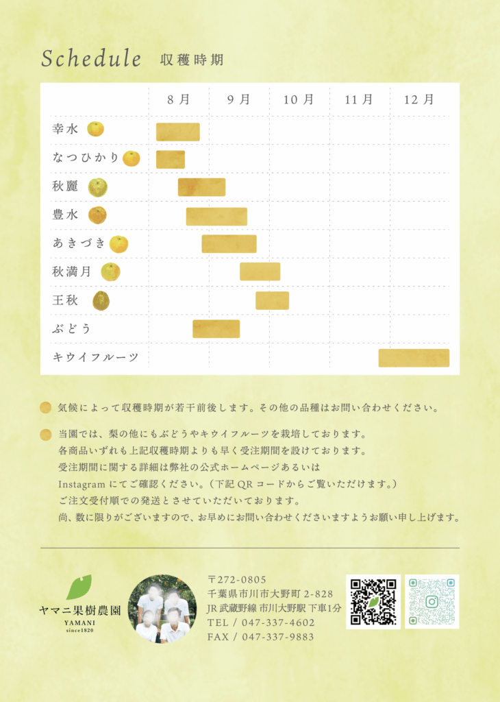 果樹農園様チラシデザイン