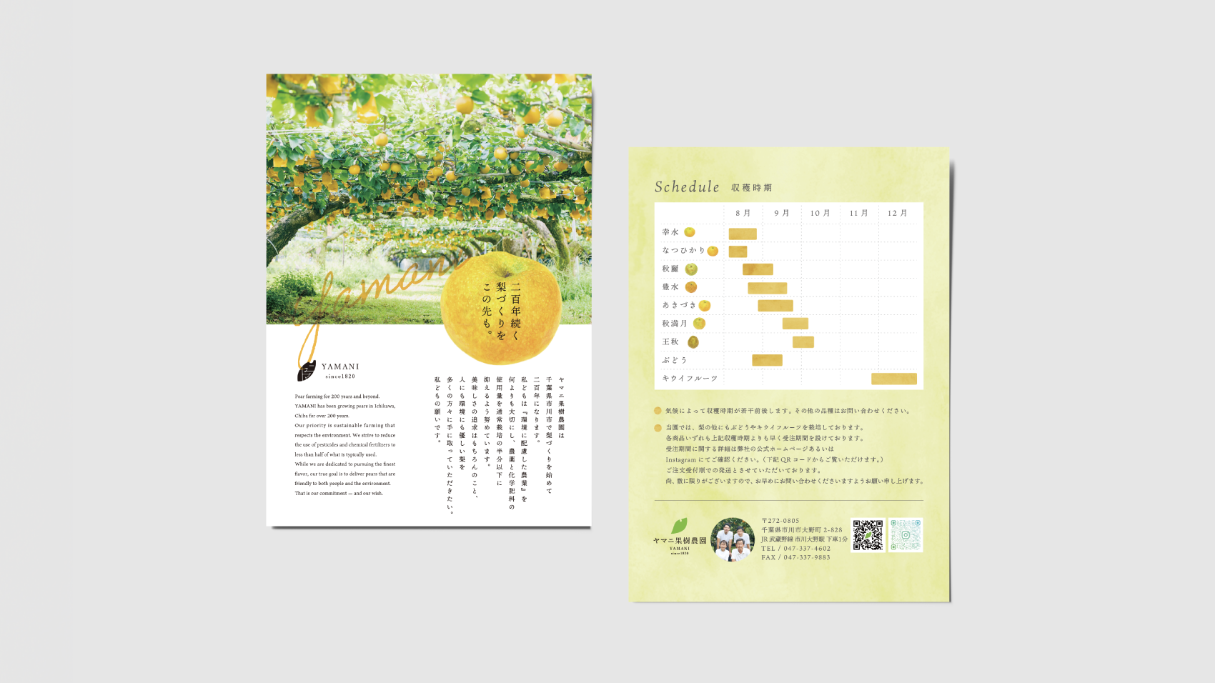 ヤマニ果樹農園 リーフレット