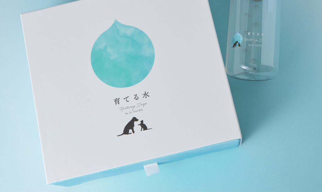 パッケージデザイン